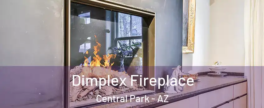 Dimplex Fireplace Central Park - AZ