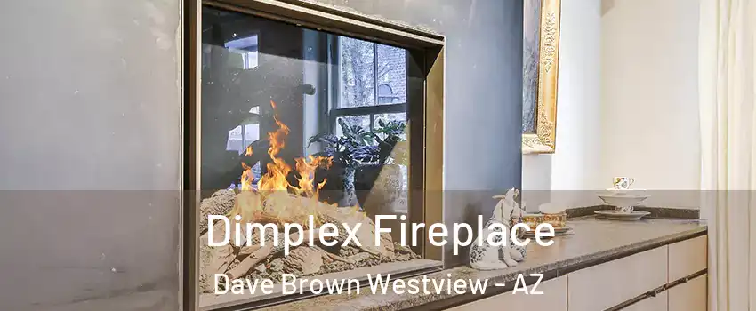 Dimplex Fireplace Dave Brown Westview - AZ