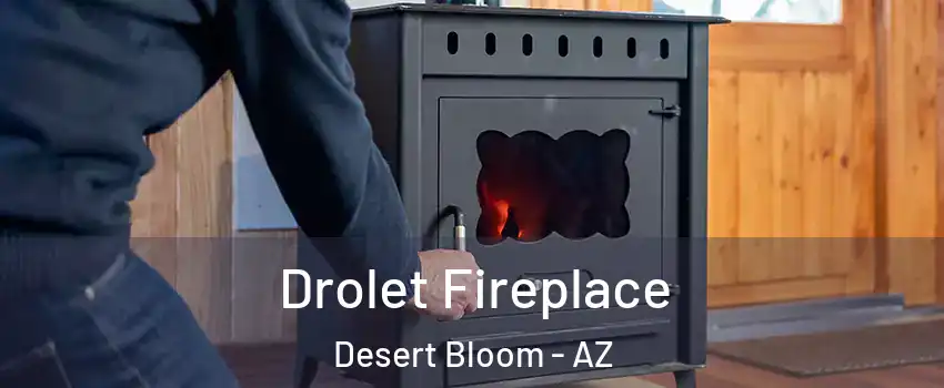 Drolet Fireplace Desert Bloom - AZ
