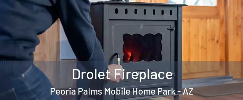 Drolet Fireplace Peoria Palms Mobile Home Park - AZ