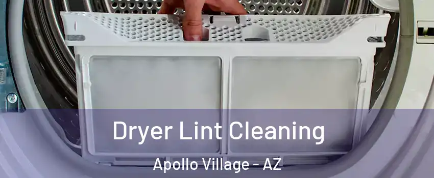 Dryer Lint Cleaning Apollo Village - AZ