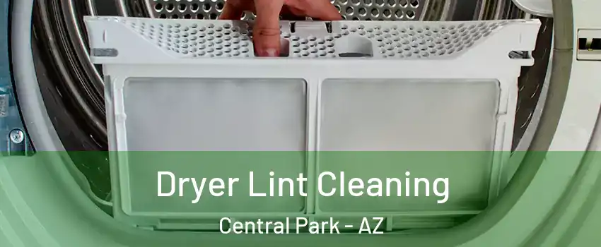 Dryer Lint Cleaning Central Park - AZ
