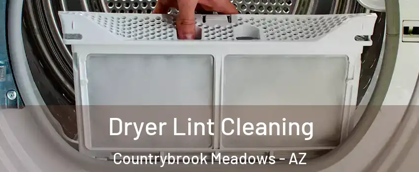 Dryer Lint Cleaning Countrybrook Meadows - AZ