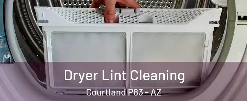 Dryer Lint Cleaning Courtland P83 - AZ