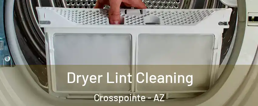 Dryer Lint Cleaning Crosspointe - AZ