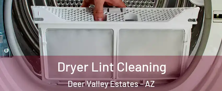 Dryer Lint Cleaning Deer Valley Estates - AZ