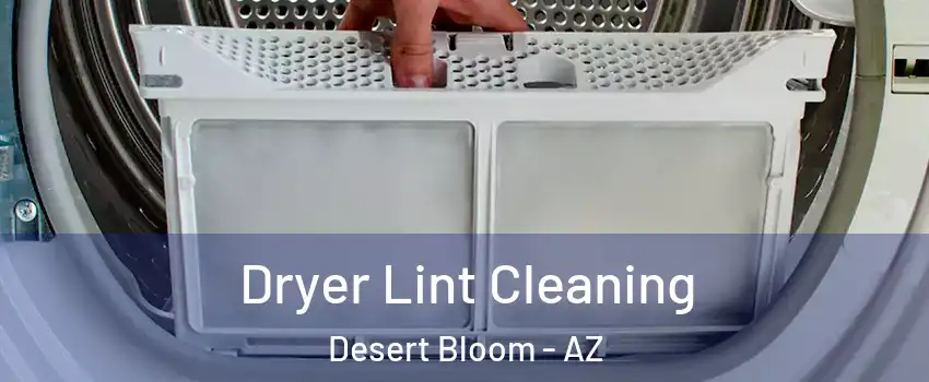 Dryer Lint Cleaning Desert Bloom - AZ