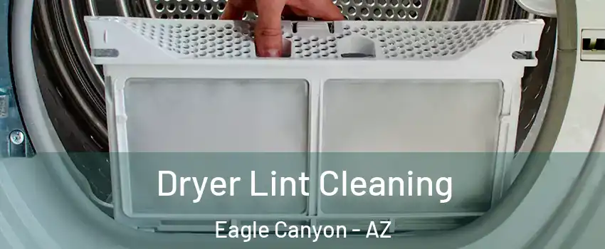 Dryer Lint Cleaning Eagle Canyon - AZ