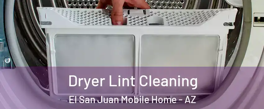 Dryer Lint Cleaning El San Juan Mobile Home - AZ