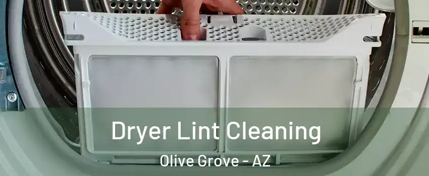 Dryer Lint Cleaning Olive Grove - AZ