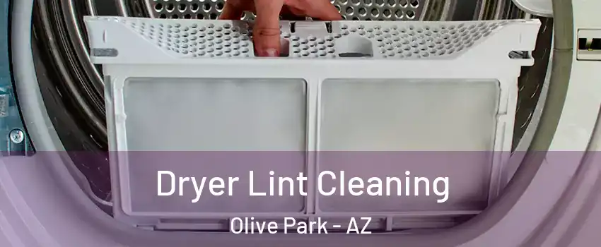 Dryer Lint Cleaning Olive Park - AZ