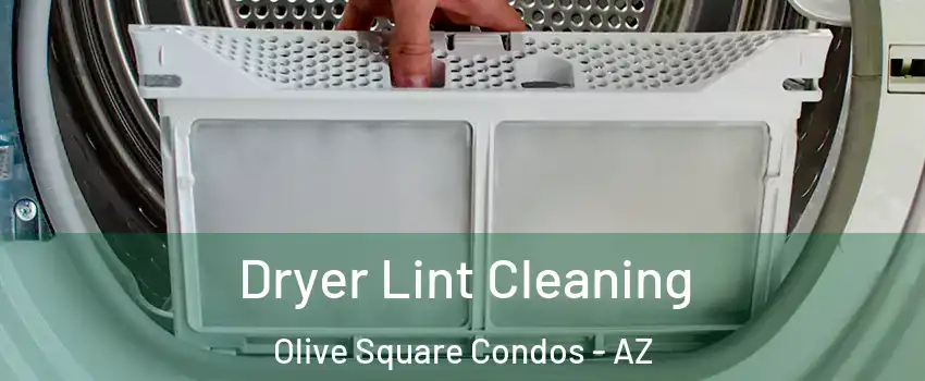 Dryer Lint Cleaning Olive Square Condos - AZ