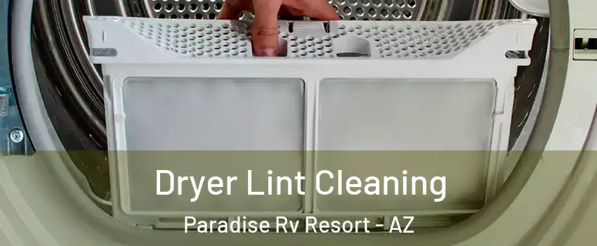 Dryer Lint Cleaning Paradise Rv Resort - AZ
