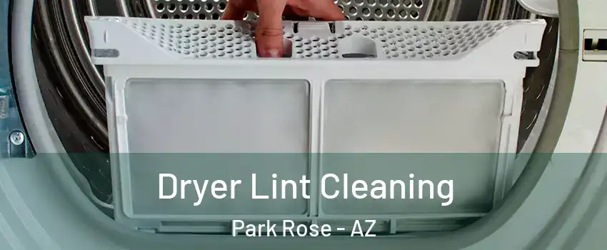 Dryer Lint Cleaning Park Rose - AZ