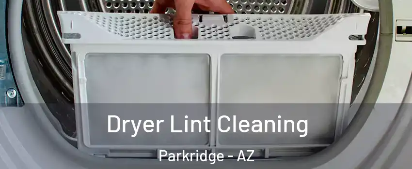 Dryer Lint Cleaning Parkridge - AZ