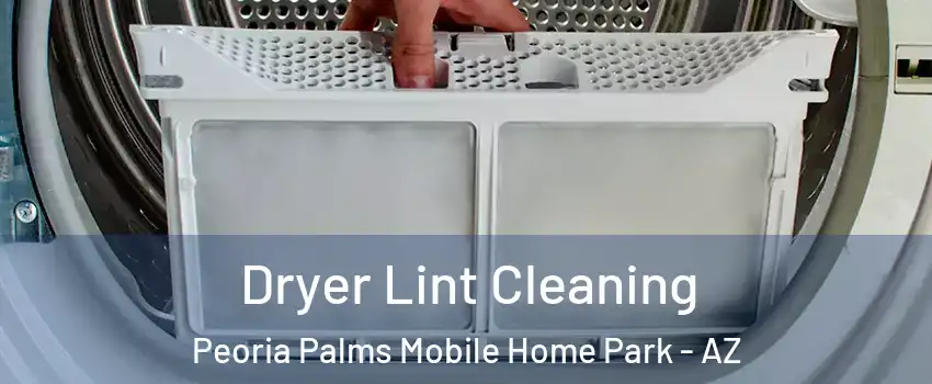 Dryer Lint Cleaning Peoria Palms Mobile Home Park - AZ
