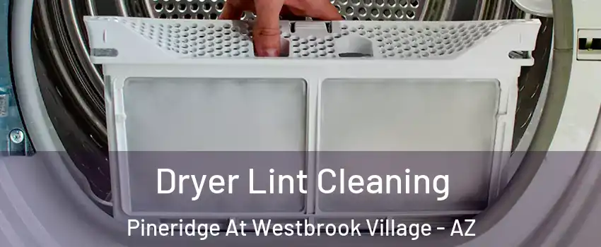 Dryer Lint Cleaning Pineridge At Westbrook Village - AZ