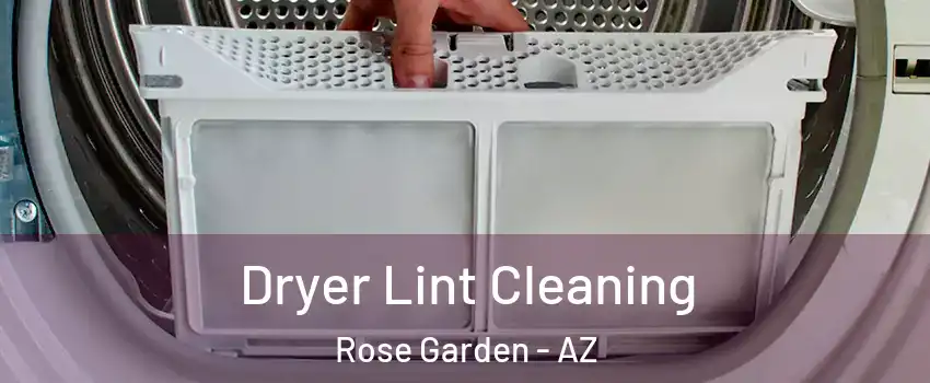 Dryer Lint Cleaning Rose Garden - AZ