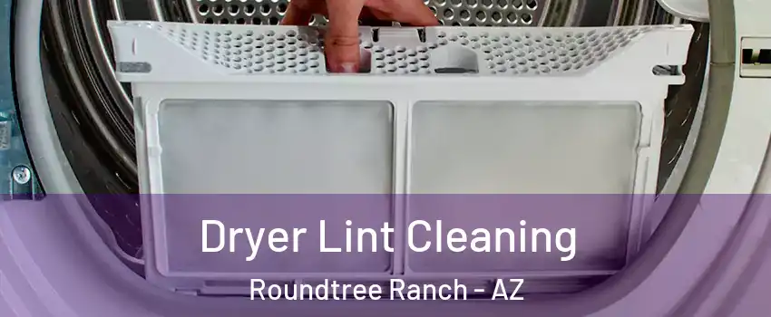 Dryer Lint Cleaning Roundtree Ranch - AZ