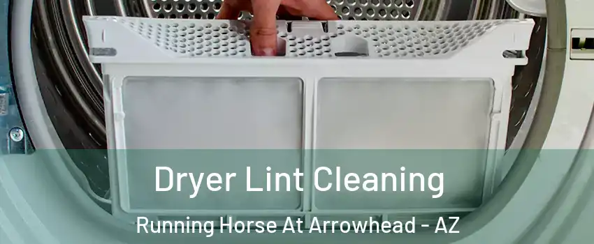 Dryer Lint Cleaning Running Horse At Arrowhead - AZ