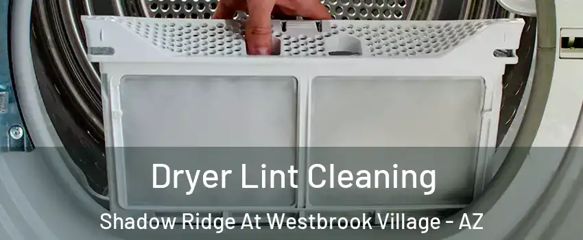 Dryer Lint Cleaning Shadow Ridge At Westbrook Village - AZ
