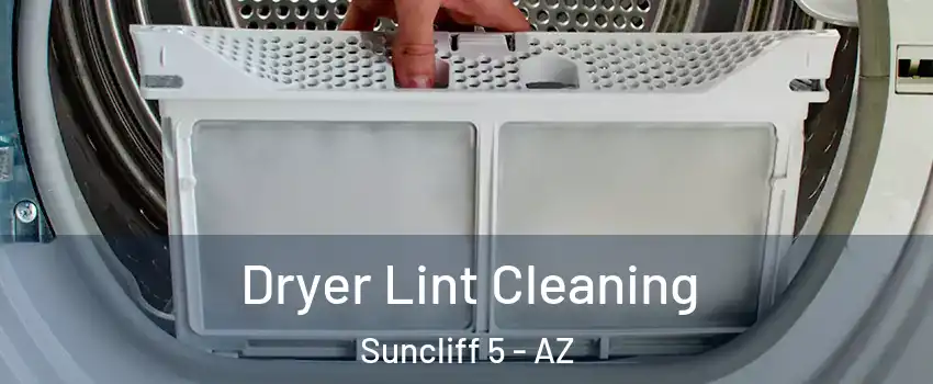 Dryer Lint Cleaning Suncliff 5 - AZ