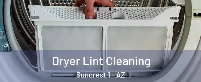 Dryer Lint Cleaning Suncrest 1 - AZ
