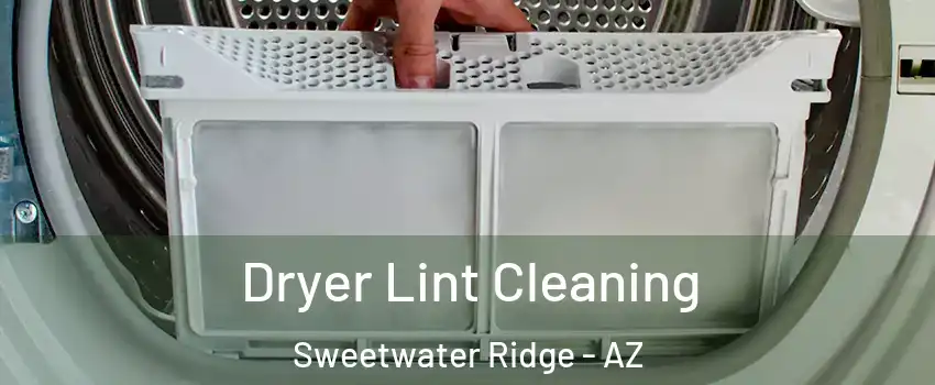 Dryer Lint Cleaning Sweetwater Ridge - AZ