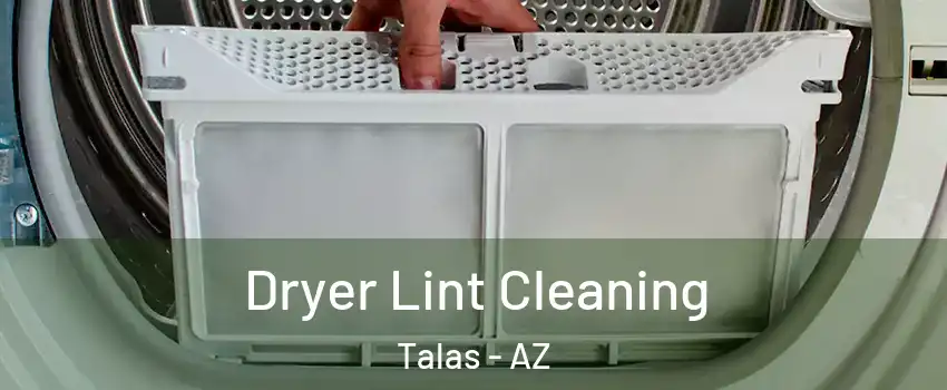 Dryer Lint Cleaning Talas - AZ