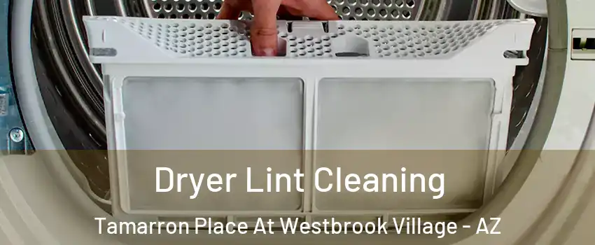 Dryer Lint Cleaning Tamarron Place At Westbrook Village - AZ