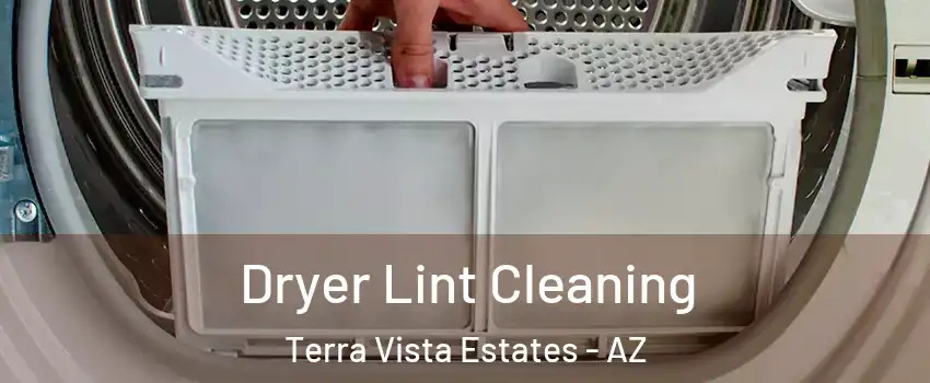 Dryer Lint Cleaning Terra Vista Estates - AZ