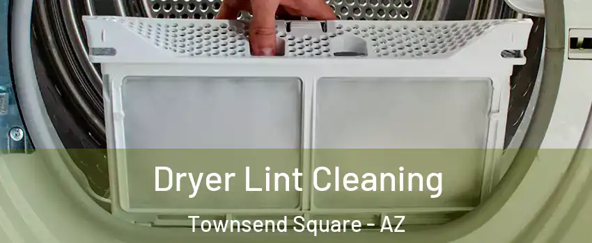 Dryer Lint Cleaning Townsend Square - AZ
