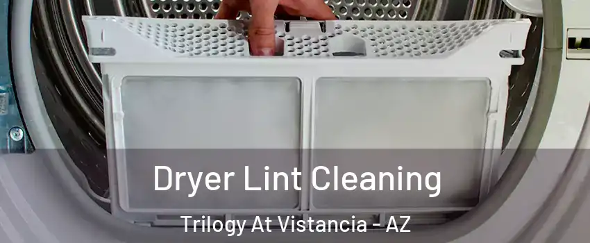 Dryer Lint Cleaning Trilogy At Vistancia - AZ