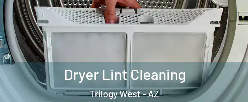 Dryer Lint Cleaning Trilogy West - AZ
