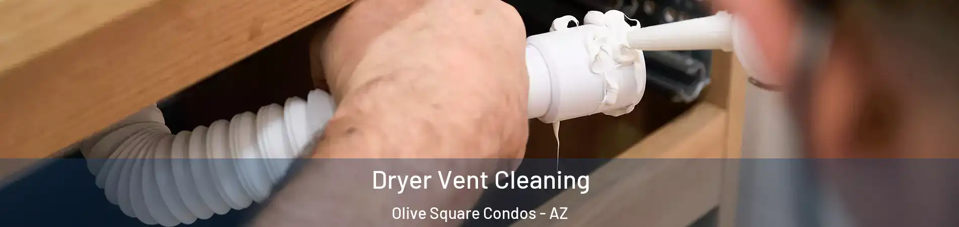 Dryer Vent Cleaning Olive Square Condos - AZ