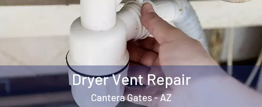 Dryer Vent Repair Cantera Gates - AZ