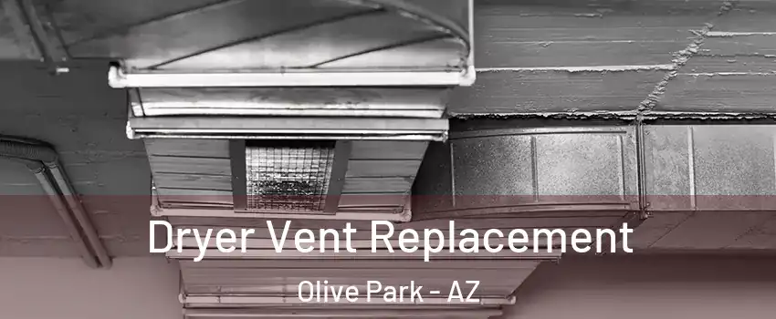 Dryer Vent Replacement Olive Park - AZ