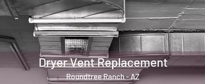 Dryer Vent Replacement Roundtree Ranch - AZ