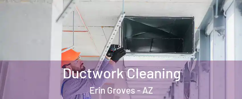 Ductwork Cleaning Erin Groves - AZ