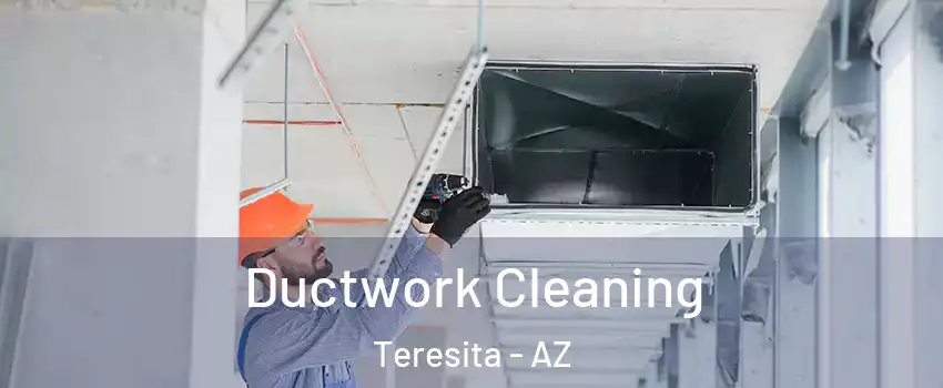 Ductwork Cleaning Teresita - AZ