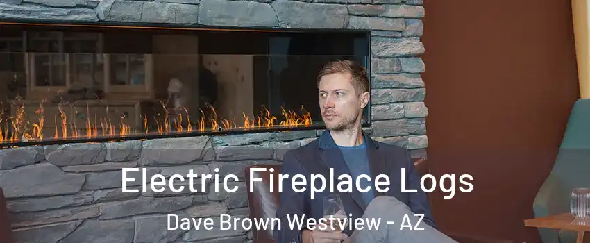 Electric Fireplace Logs Dave Brown Westview - AZ