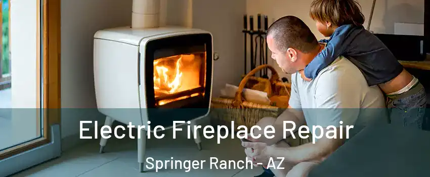 Electric Fireplace Repair Springer Ranch - AZ