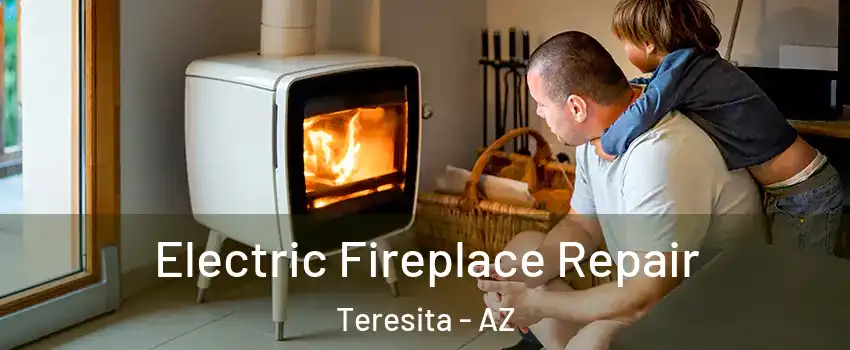 Electric Fireplace Repair Teresita - AZ