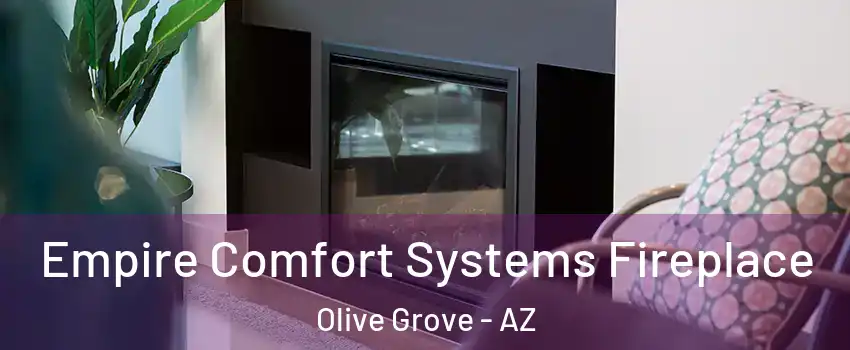 Empire Comfort Systems Fireplace Olive Grove - AZ
