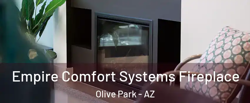 Empire Comfort Systems Fireplace Olive Park - AZ