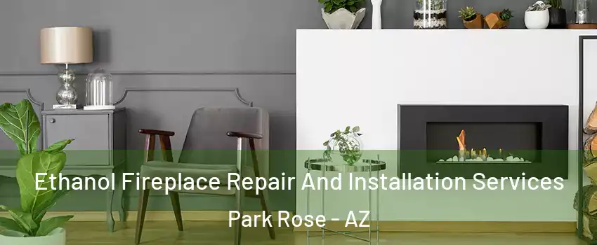 Ethanol Fireplace Repair And Installation Services Park Rose - AZ