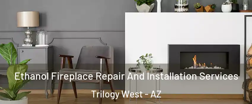 Ethanol Fireplace Repair And Installation Services Trilogy West - AZ
