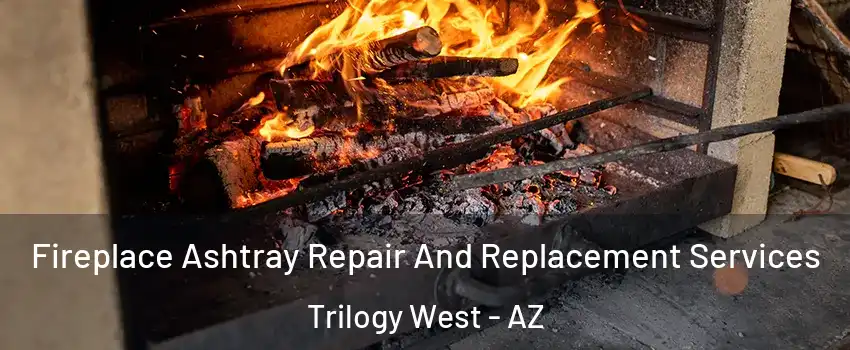Fireplace Ashtray Repair And Replacement Services Trilogy West - AZ