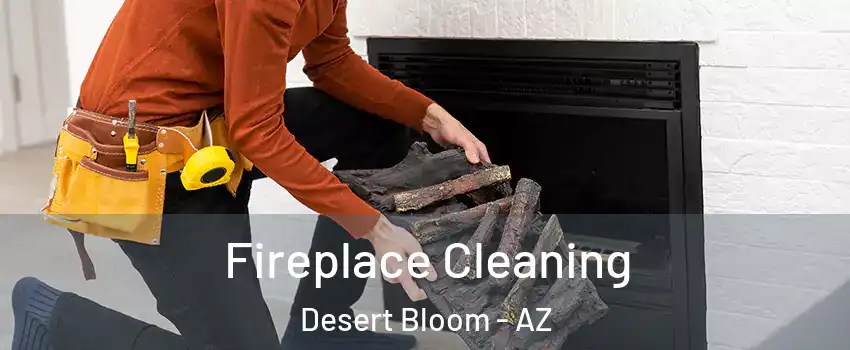 Fireplace Cleaning Desert Bloom - AZ