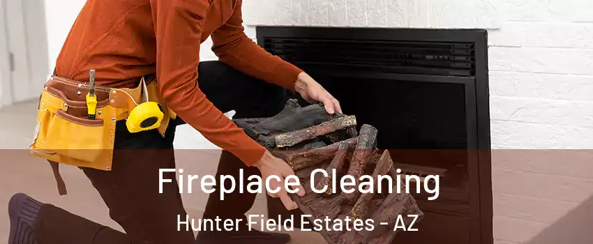 Fireplace Cleaning Hunter Field Estates - AZ